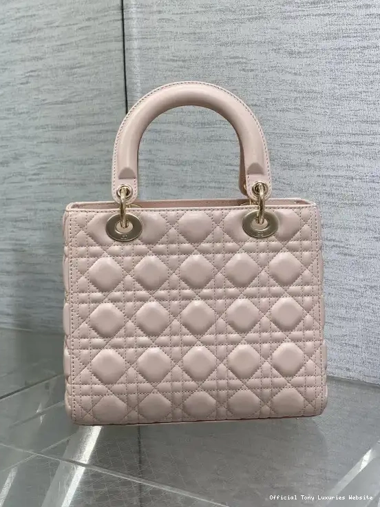 Tony Luxuries LADY DI0R-24CM 0623